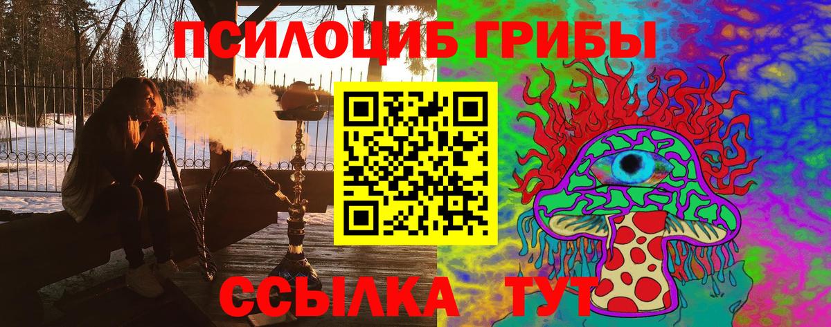 Псилоцибиновые грибы Magic Shrooms Клинцы