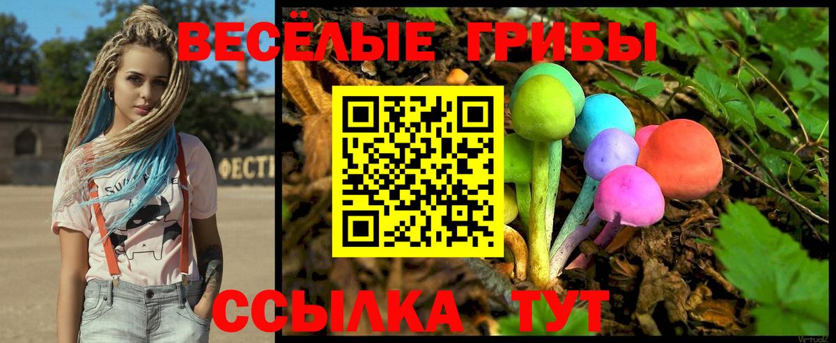 Псилоцибиновые грибы Magic Shrooms  Вход с VPN  Клинцы 